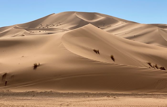 9 days tour from casablanca