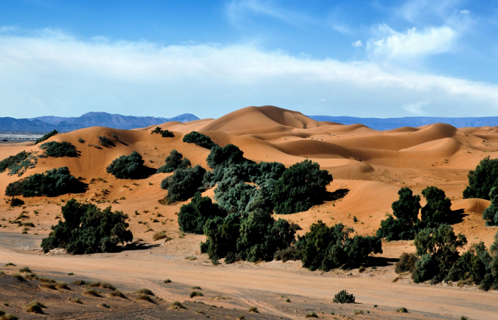 4 days desert tour from Marrakech