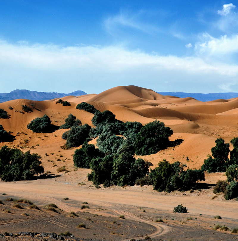 4 days desert tour from Marrakech